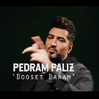 دانلود اهنگ پدرام پالیز دوست دارم