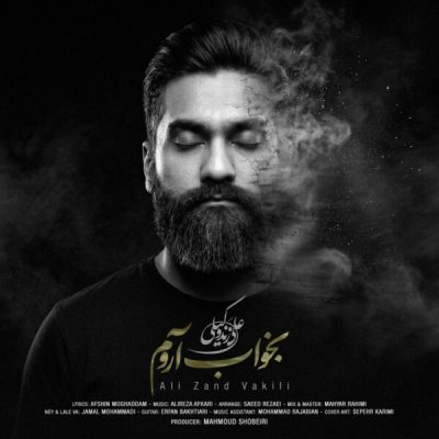 دانلود آهنگ علی زند وکیلی بخواب آروم دانلود آهنگ علی زند وکیلی بخواب آروم